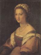 Andrea del Sarto Portrait of a Young Woman (san05) oil painting reproduction